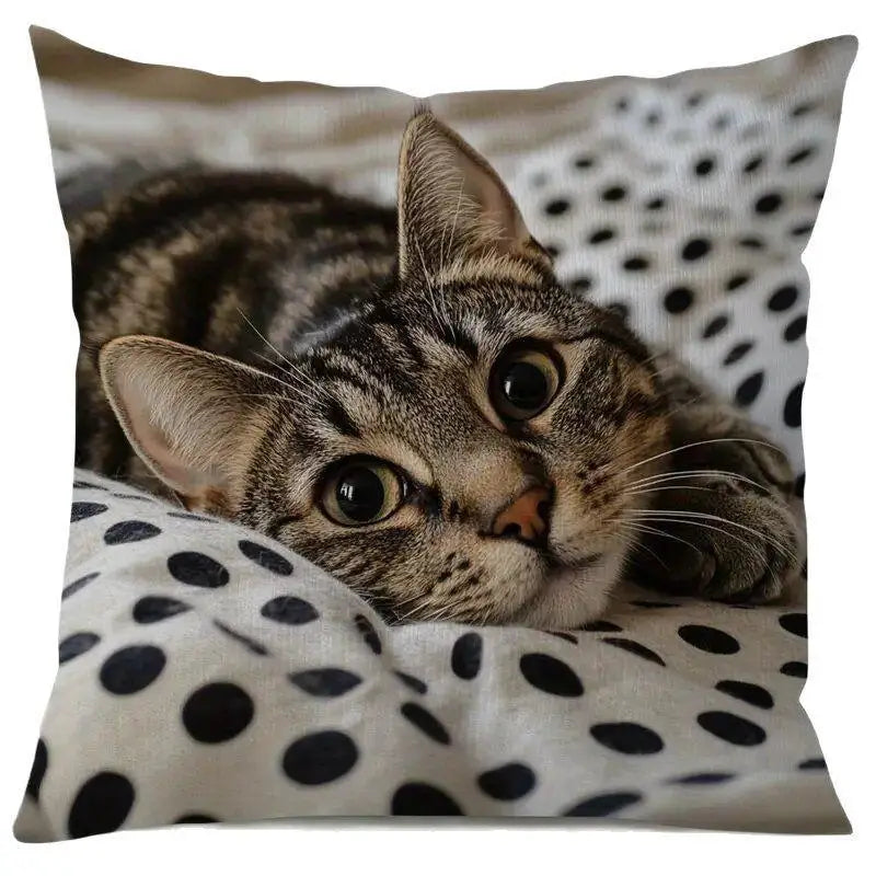 Vibrant Bohemian Style Short Plush Pillow Cover 45x45cm Charming Kitten Living Room Bedroom Decor